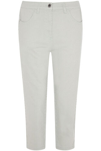 The SARA Stripe Print Cropped Jeans